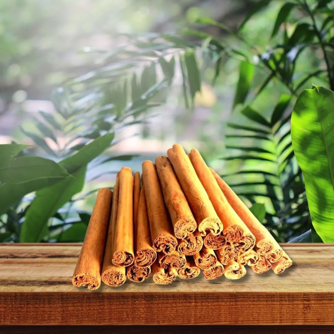 C5 Special Cinnamon (C5 SP)